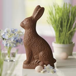 Chocolate Easter Bunny, , large