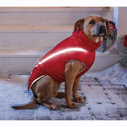 Reflective Dog Winter Jacket, , large